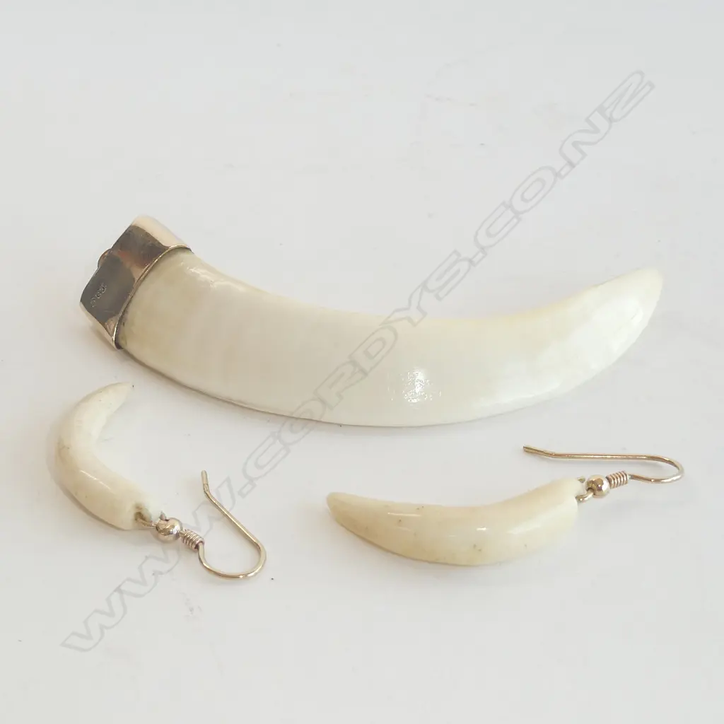 9CT BOAR’S TUSK PENDANT WITH EARRINGS ON 9CT WIRES. Image 1++