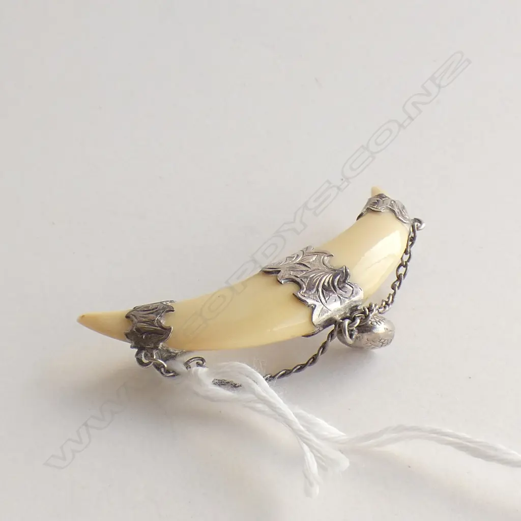 ANTIQUE SILVER MOUNTED TUSK BROOCH Image 1++