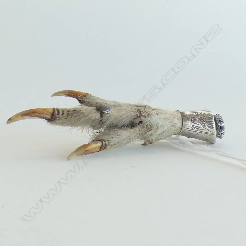 SCOTTISH SILVER & GROUSE CLAW BROOCH WITH AMETHYST STONE L  70 MM Image 1++