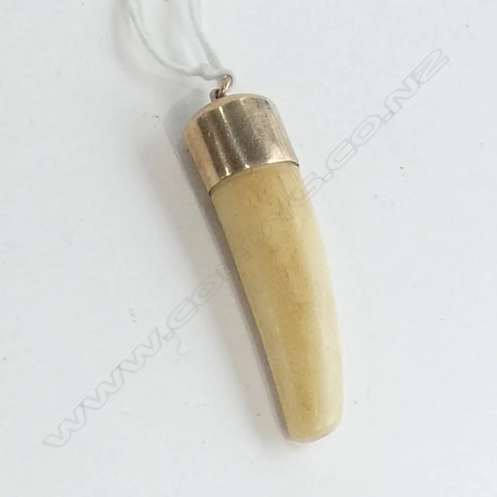c.1900 LION / TIGER? CANINE TOOTH PENDANT w. 9CT GOLD CAP L.50mm Image 1++