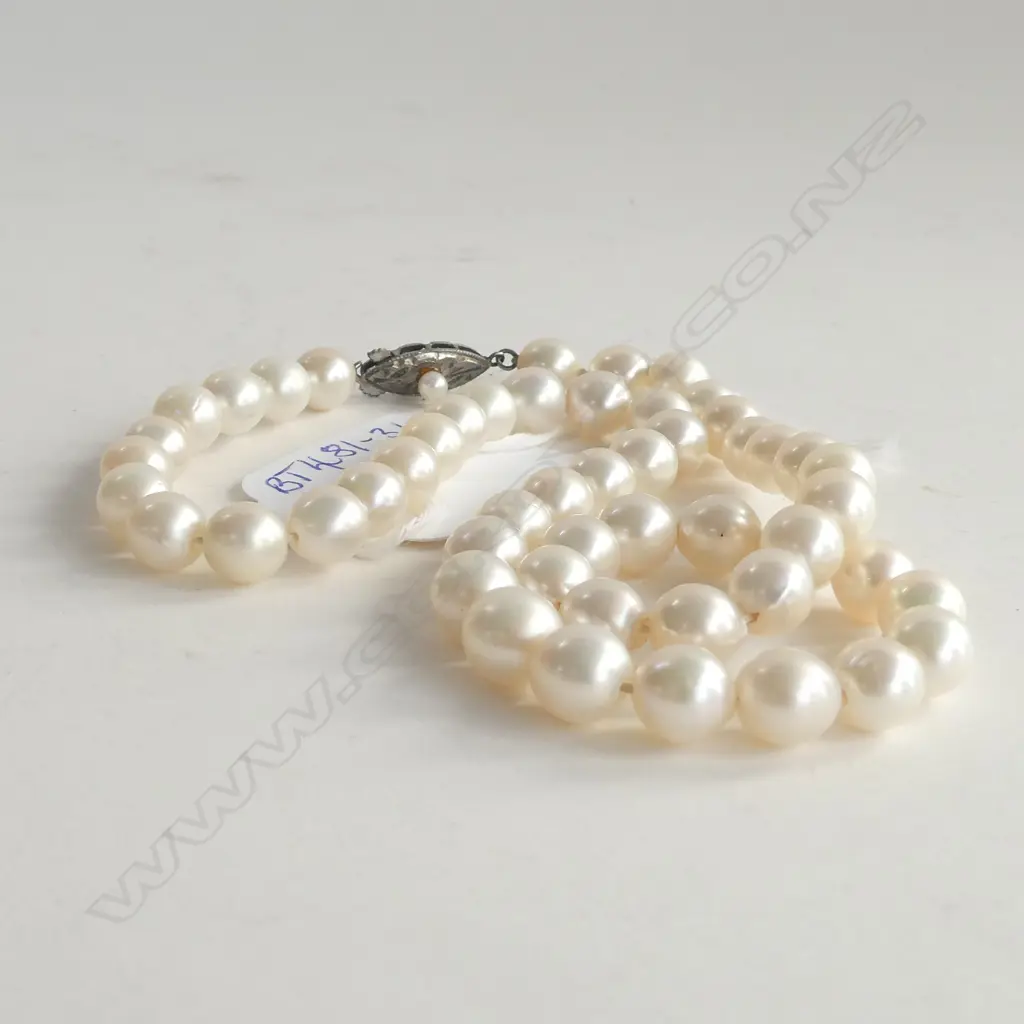 CULTURED PEARL NECKLACE SILVER CLASP Image 1++