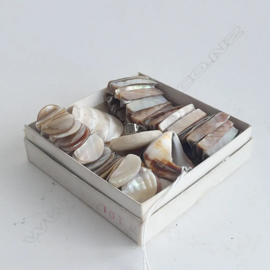 MOTHER-OF-PEARL JEWELLERY: 2 BRACELETS. EARRINGS & RING Image 1++
