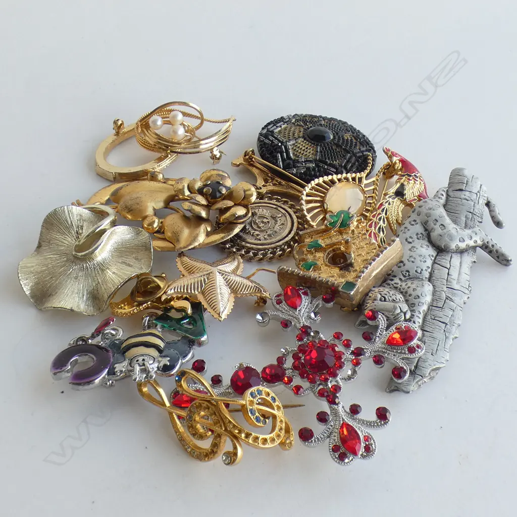 BAG ASST COSTUME JEWELLERY BROOCHES  Image 1++