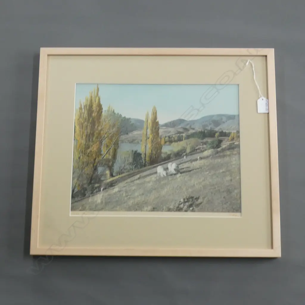 WHITE AVIATION LAKE HAYES SIGNED LABELLED 290x36mm Image 1++