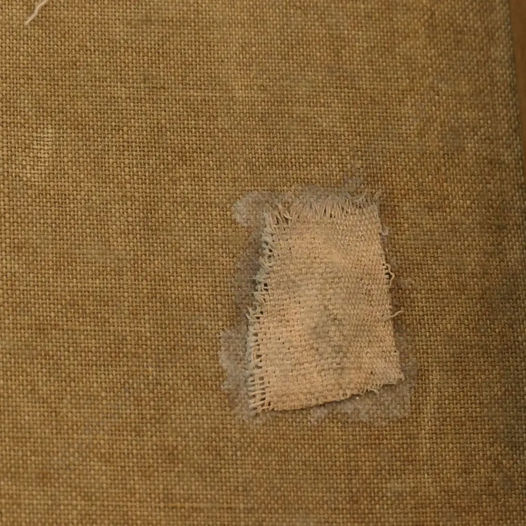 NZ colonial artist unknown, 'S.S. Ngapuhi', oil on canvas, Image 1++