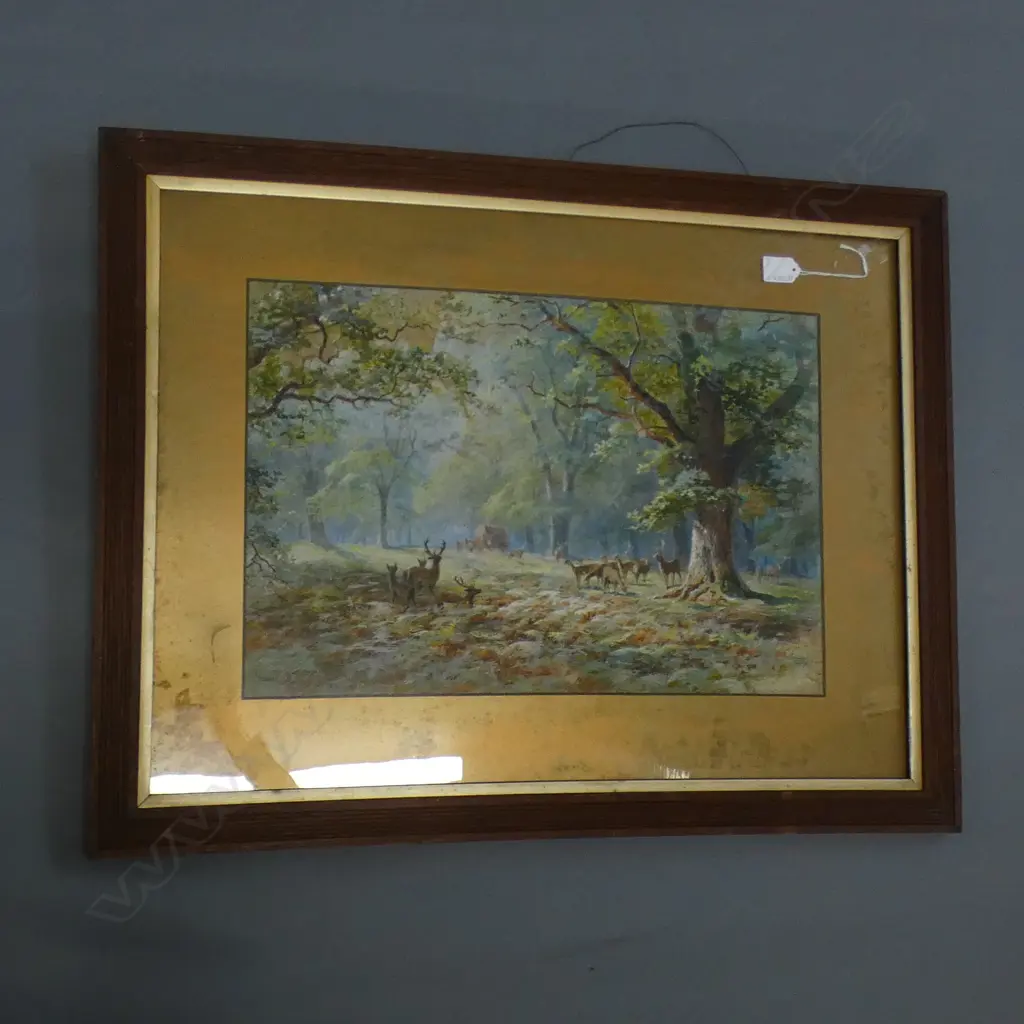 HOWARD GAYE WATERCOLOUR 'DEER IN A FOREST' 360 x 500mm Image 1++