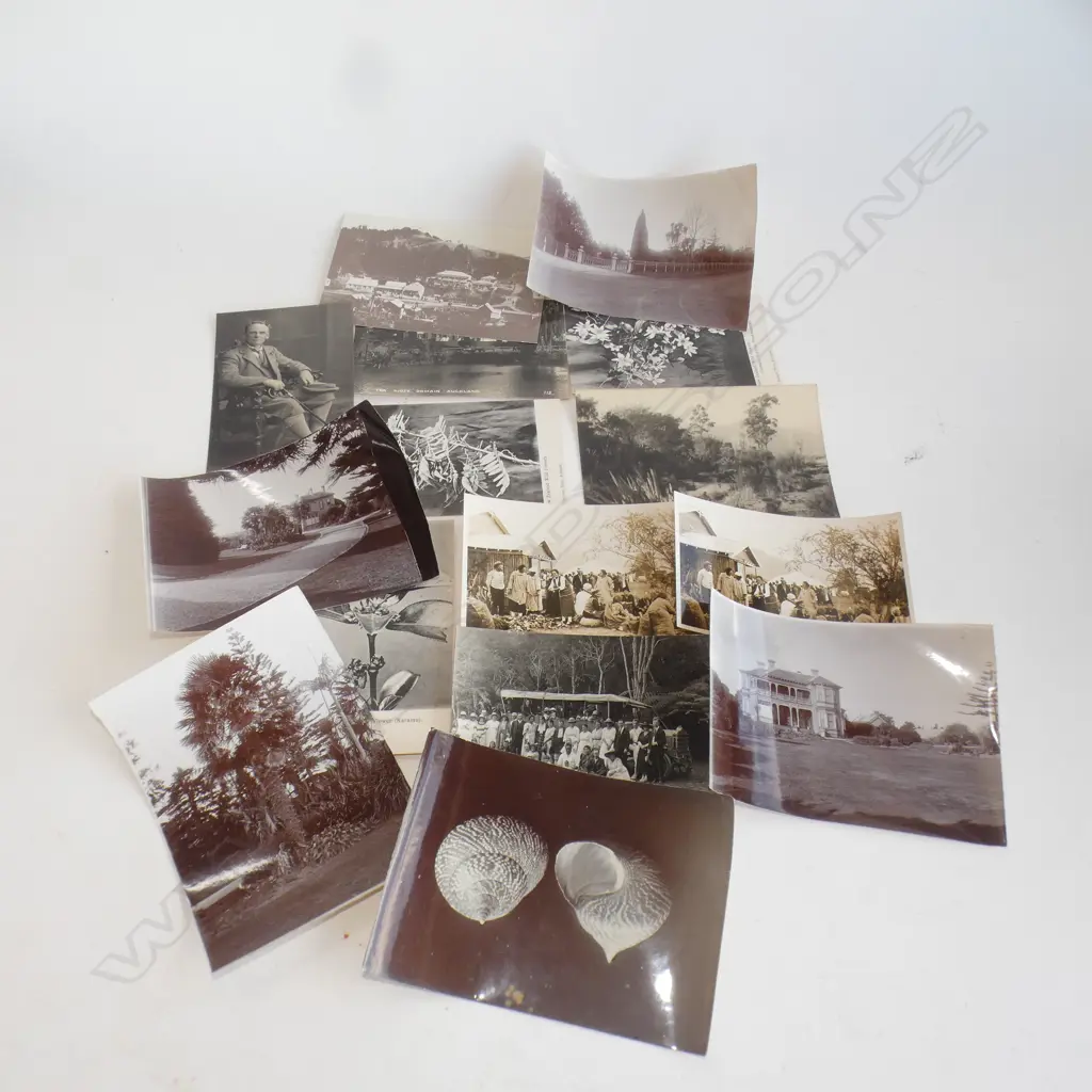 15 VINTAGE REPRINT PHOTOS 19thC NZ IMAGES.HOMESTEADS POSTCARDS ETC 100x140mm approx Image 1++