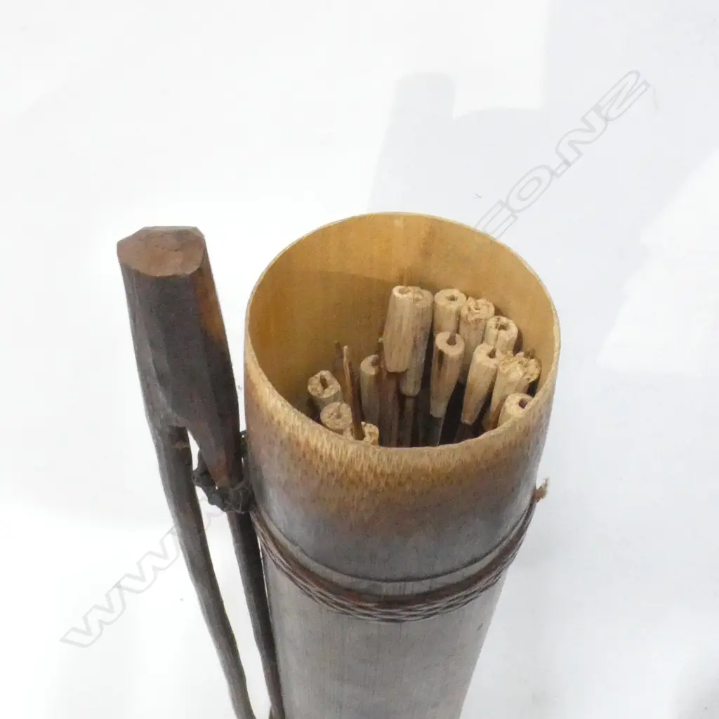 A BORNEO DYAK BLOW PIPE WITH POISON TIPPED DARTS L 1990 MM Image 1++