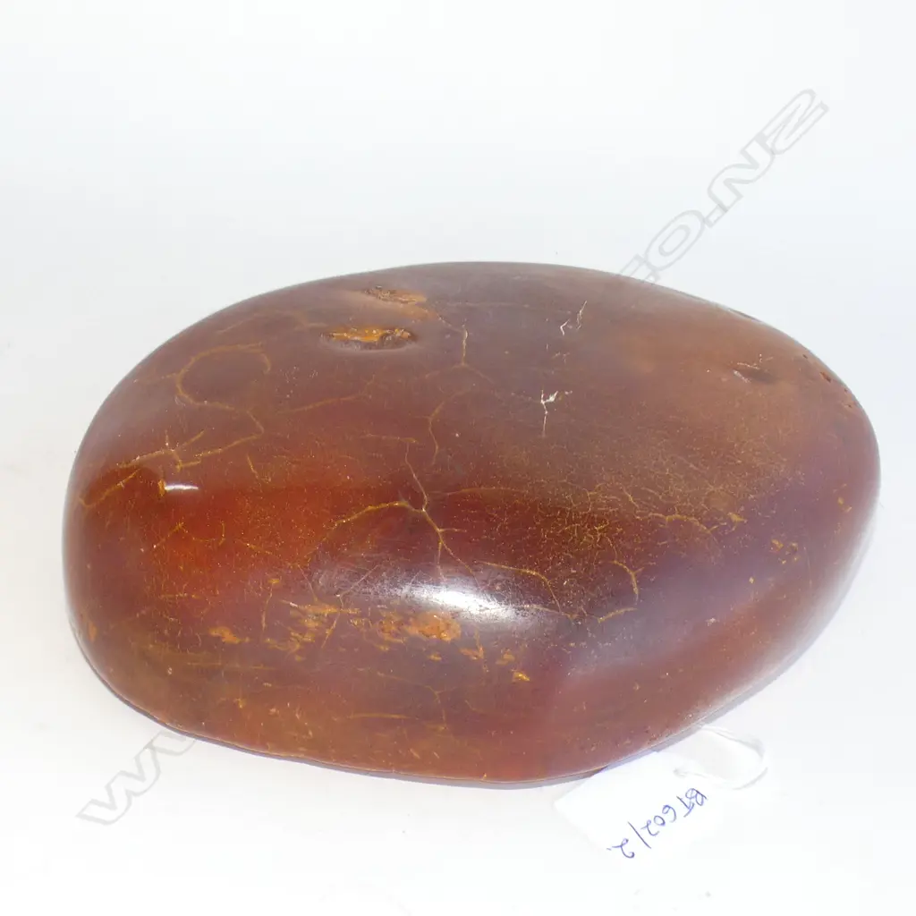 LARGE PIECE OF KAURI GUM 245x190x60mm 2KG APPROX Image 1++