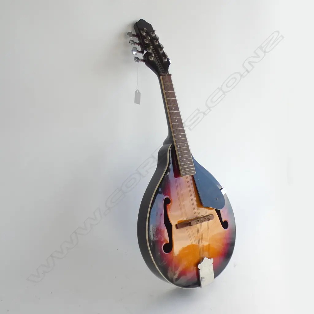 STRINGED INSTRUMENT L.670mm Image 1++