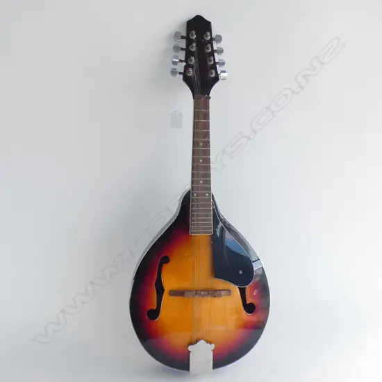 STRINGED INSTRUMENT L.670mm