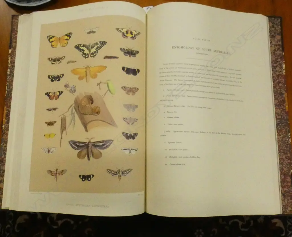 GEORGE FRENCH ANGAS FACSIMILE REPRINT BOOK 'SOUTH AUSTRALIA 1846' LIMITED EDITION 193/1000, PUB.1967  Image 1++