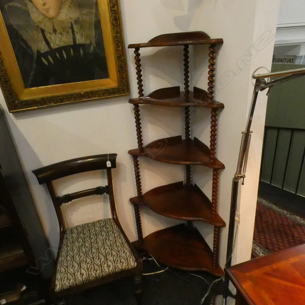 5 TIER WHAT NOT Image 1++