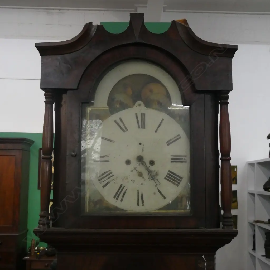 MAHOGANY WILLIAM IV LONG CASE CLOCK - faulted no weights pendulum bob only Image 1++