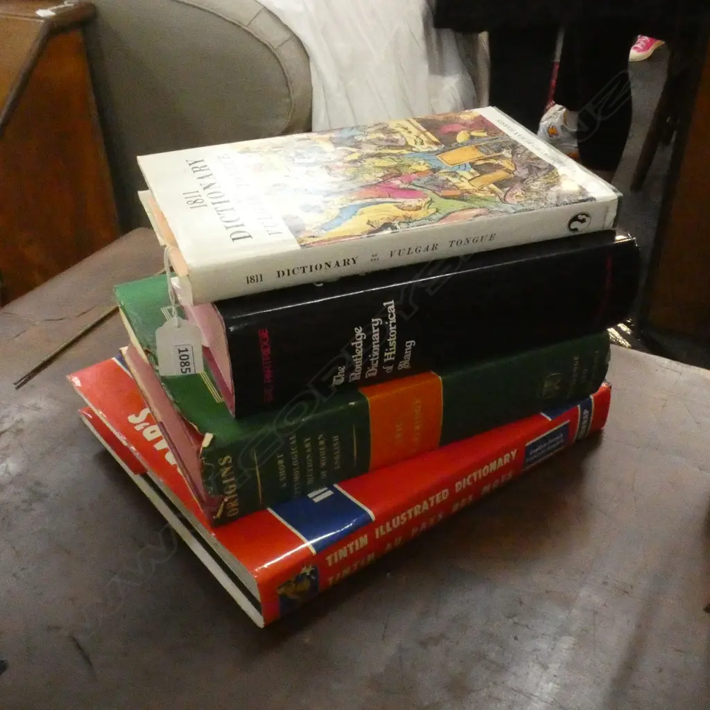 COLLECTION DICTIONARYS ; - VULGAR TONGUE; TINTIN ILLUSTRATED; ETC  Image 1++