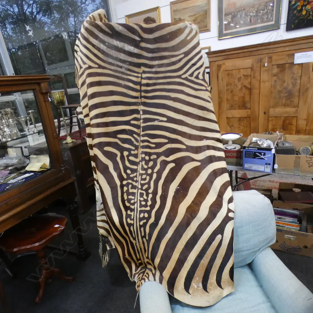 FAUX ZEBRA HIDE L 1900 MM Image 1++