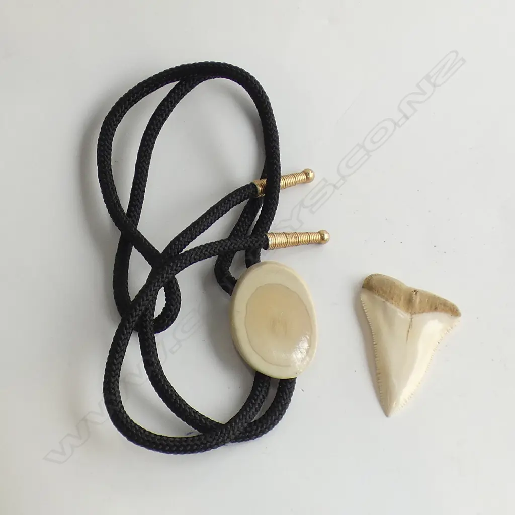 SHARK TOOTH & WHALE TOOTH BOLO TIE Image 1++