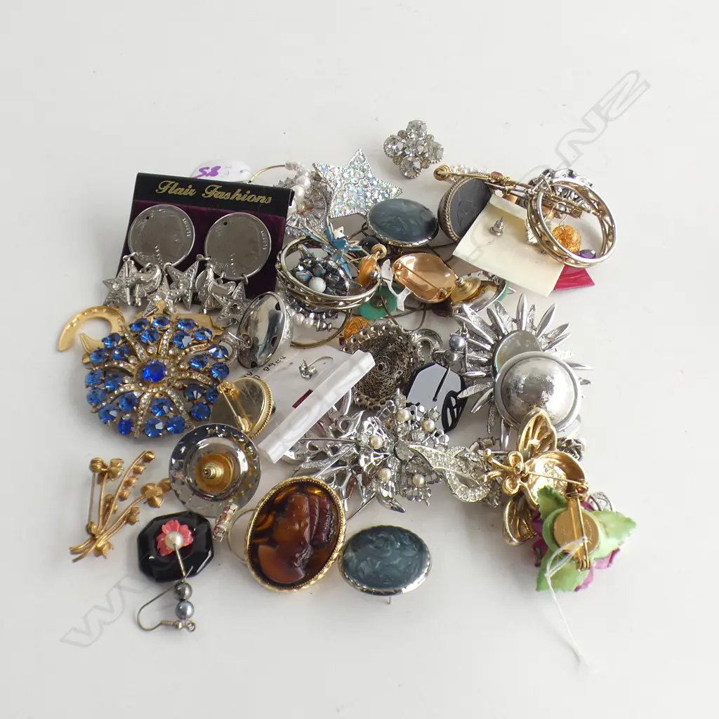 ASST. COSTUME BROOCHES ETC Image 1++