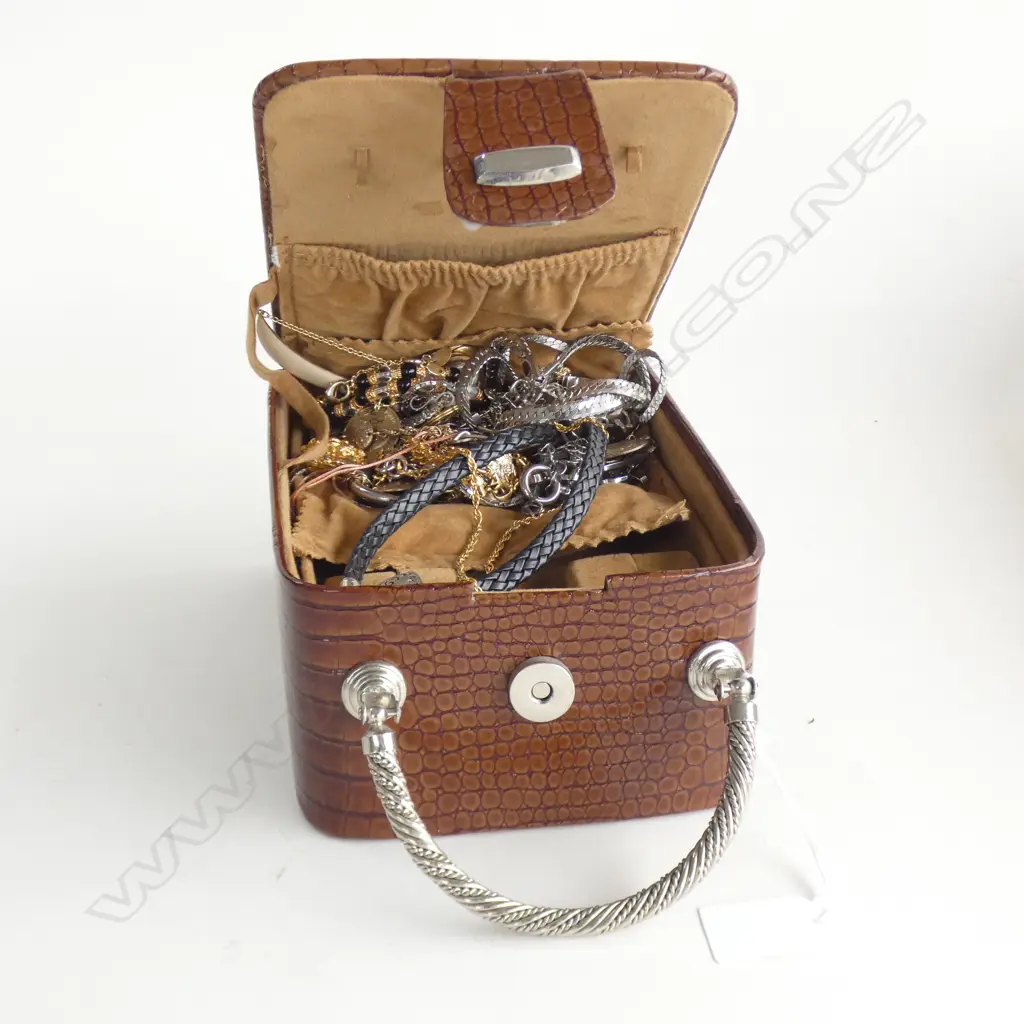 BROWN FAUX ALLIGATOR JEWELLERY CASE + ASST. COSTUME NECKLACES Image 1++
