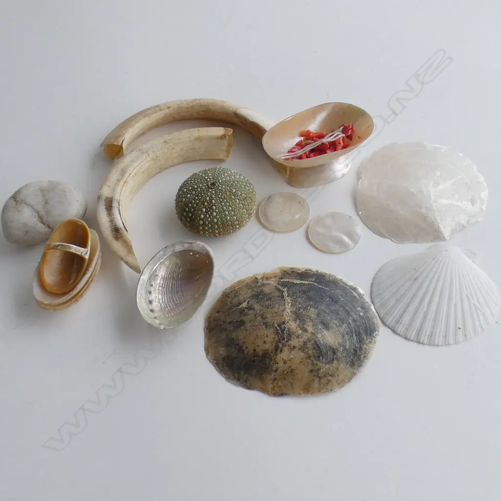 SEL. MOP RING + SALTS ETC + TUSKS SHELLS CORAL BEADS ETC Image 1++