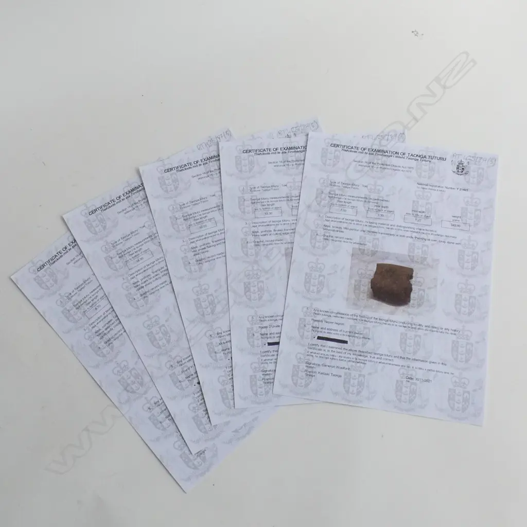 Y21403, 410, 413, 419 & 433; 5 PREFORM & BROKEN TOKI (STONE ADZES) Image 1++