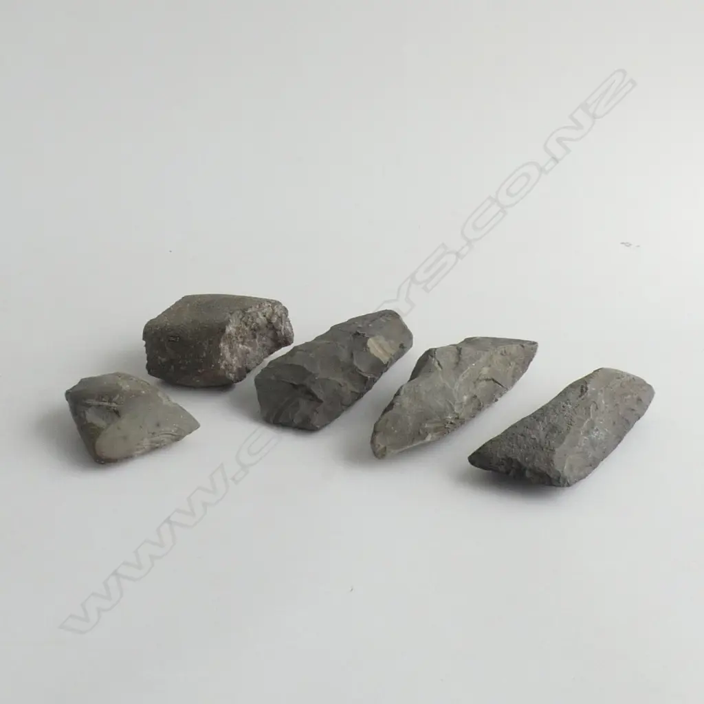 Y21403, 410, 413, 419 & 433; 5 PREFORM & BROKEN TOKI (STONE ADZES) Image 1++