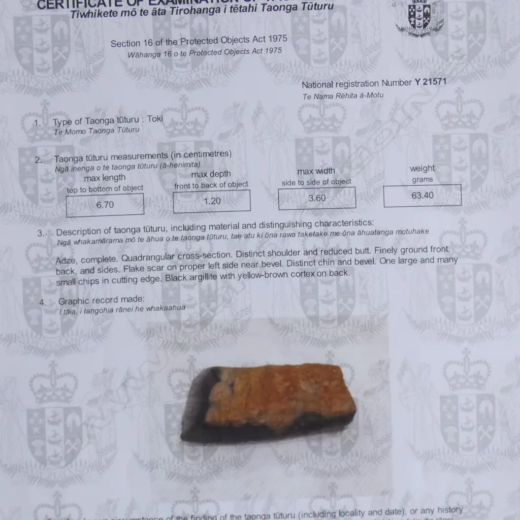 Y21571 + Y21568; 2 TOKI (STONE ADZES) Image 1++