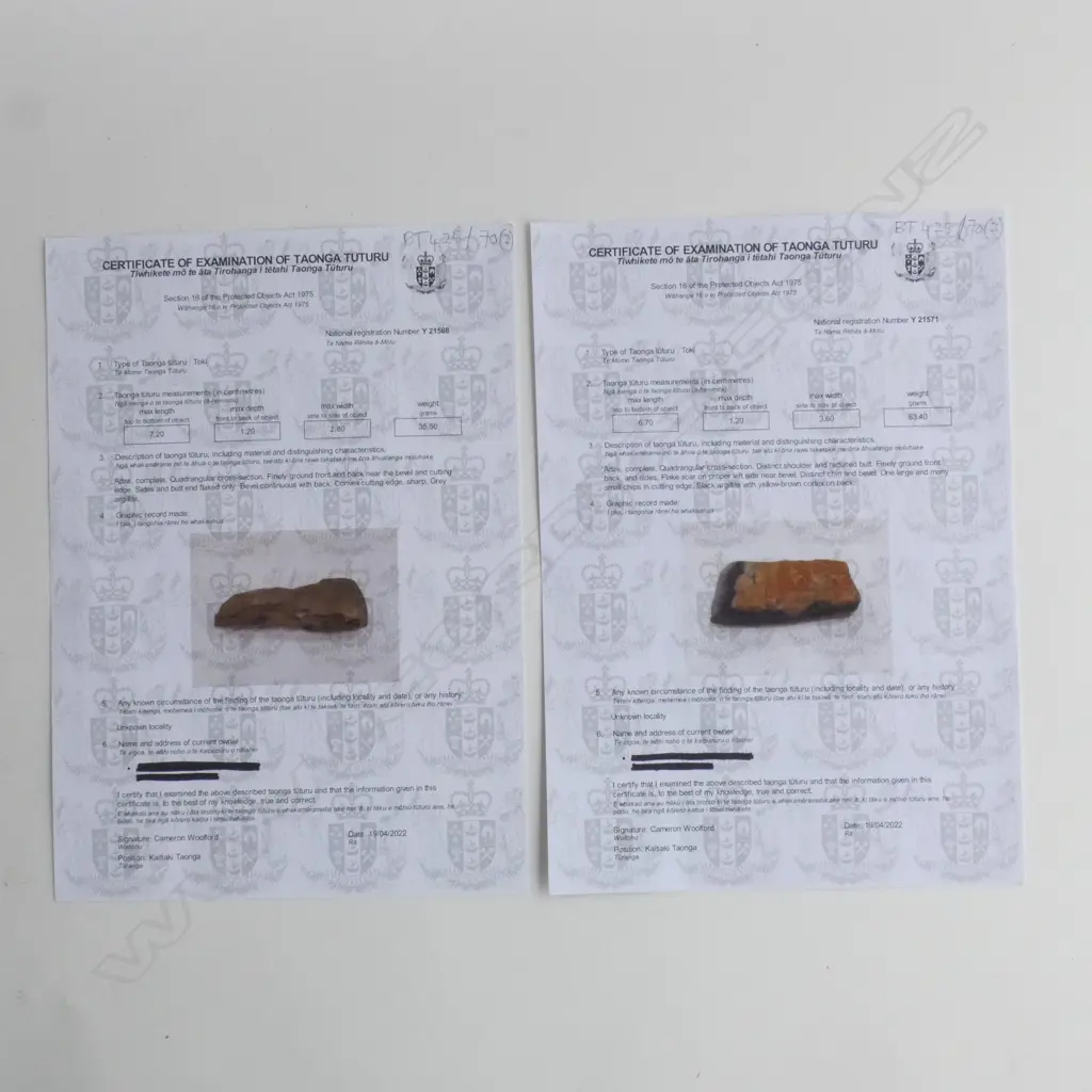 Y21571 + Y21568; 2 TOKI (STONE ADZES) Image 1++