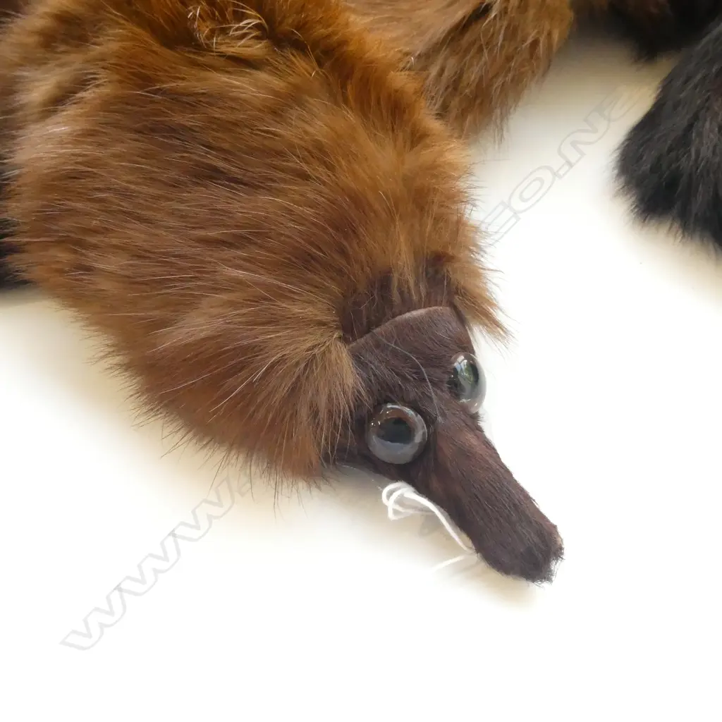 DARK BROWN FERRET SHAWL 1540MM Image 1++