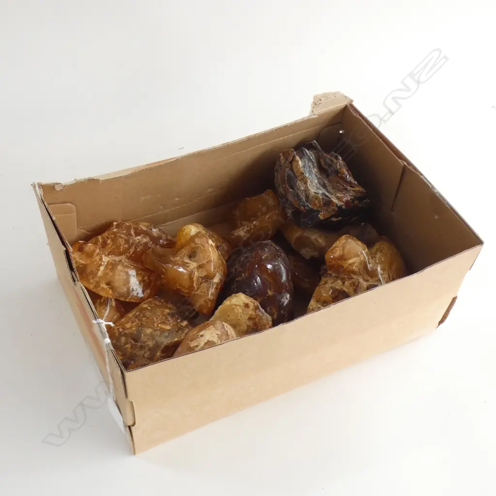 GOOD BOX LOT POLISHED KAURI GUM NUGGETS  Image 1++