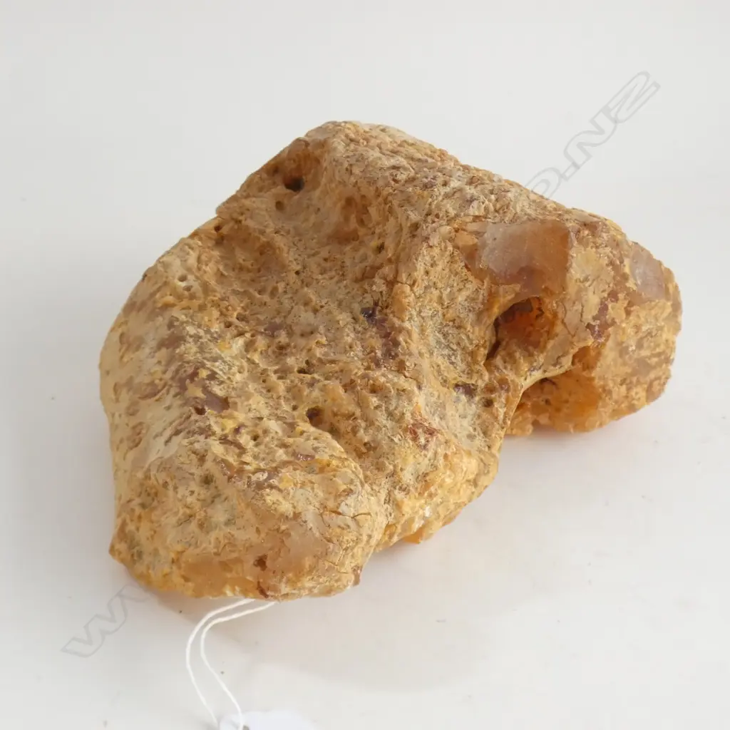 1 KG KAURI GUM PIECE Image 1++