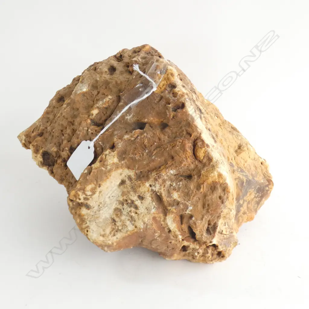 LG KAURI GUM NUGGET  APPROX 300 X 190MM Image 1++