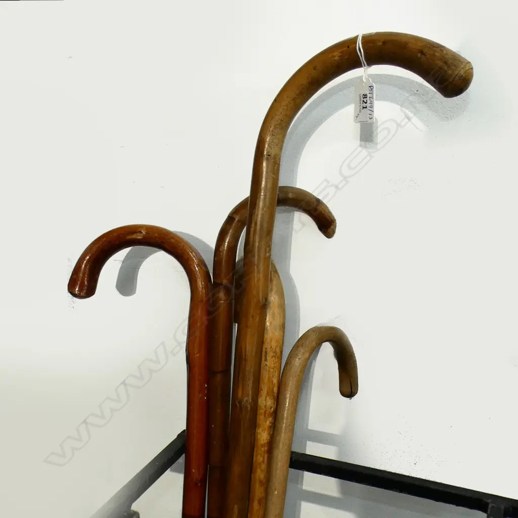 5 WALKING STICKS L.1030mm Image 1++