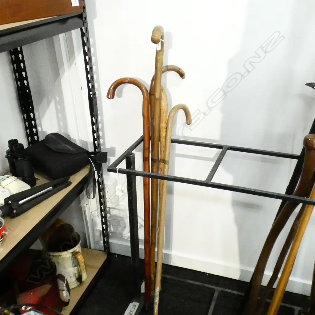 5 WALKING STICKS L.1030mm Image 1++