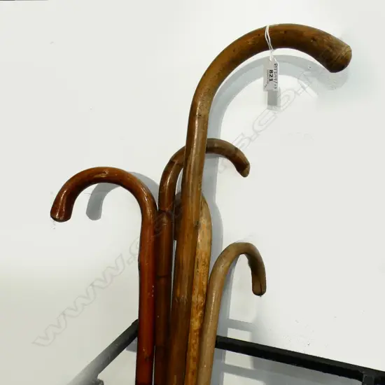 5 WALKING STICKS L.1030mm