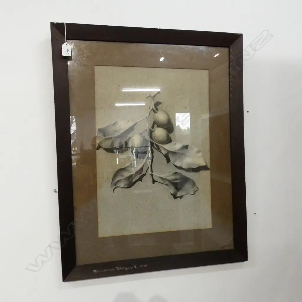 LARGE GRAPHITE STILL LIFE; LEAVES & BERRIES 500x355mm Image 1++