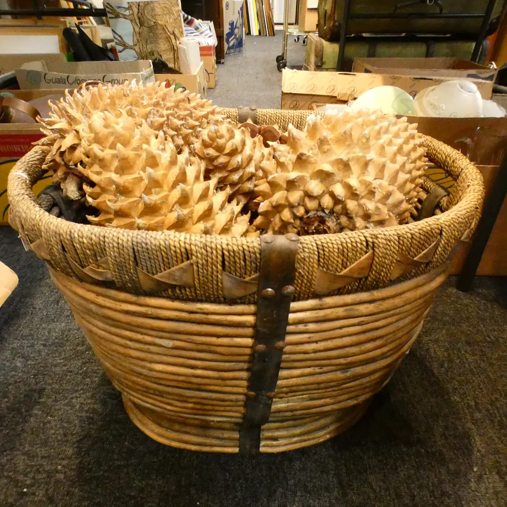 RUSTIC BASKET w. GIANT COULTER PINE CONES Image 1++