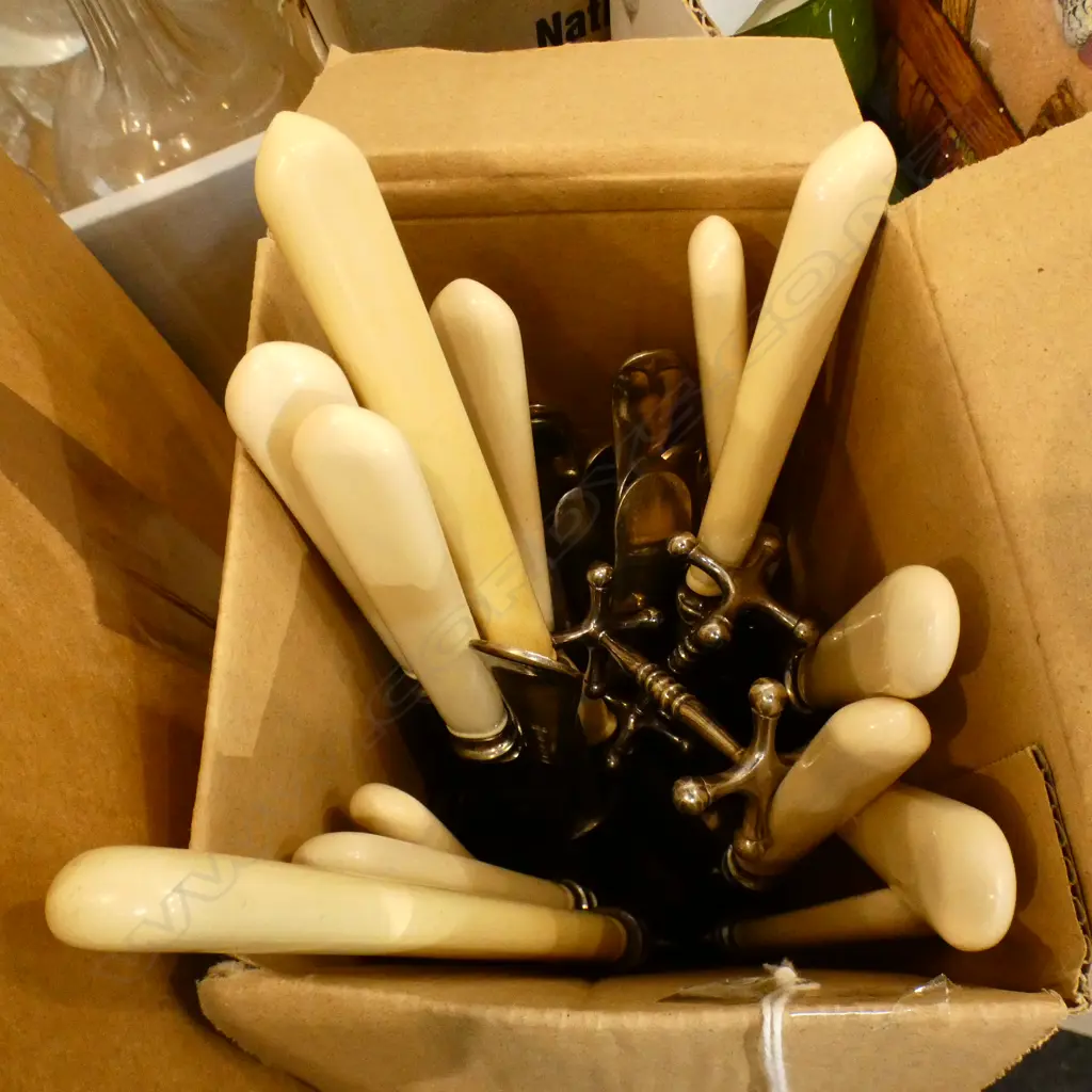 BOX LOT OF CUTLERY NICKEL FORKS AND FAUX BONE HANDLED KNIVES Image 1++