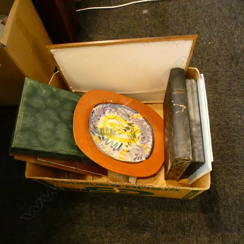 BOX MISC INCL POTTERY DISH, FISH CUTLERY ETC. Image 1++