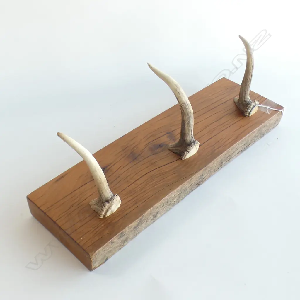 COAT RACK WOODEN MOUNT WITH 3 ANTLER COAT HOOKS L 460 MM Image 1++