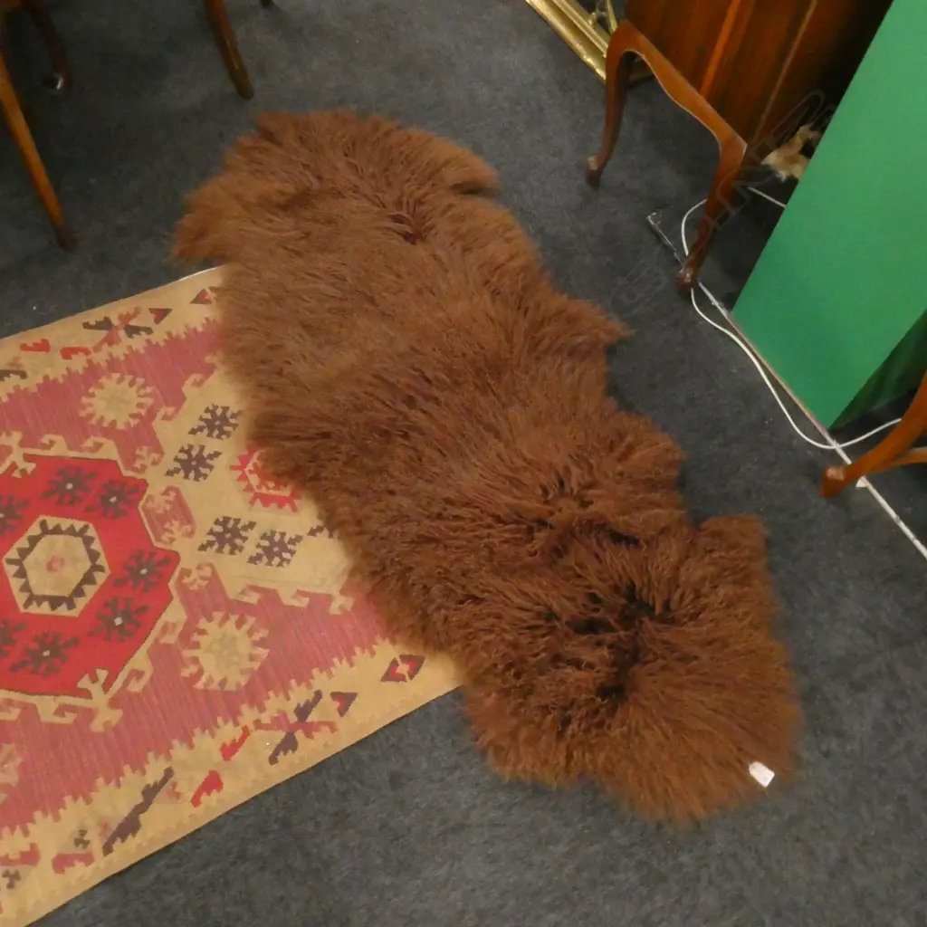 TIBETAN LAMB HIDE; LONG CURLY WOOL IN BROWN 1600x600mm Image 1++