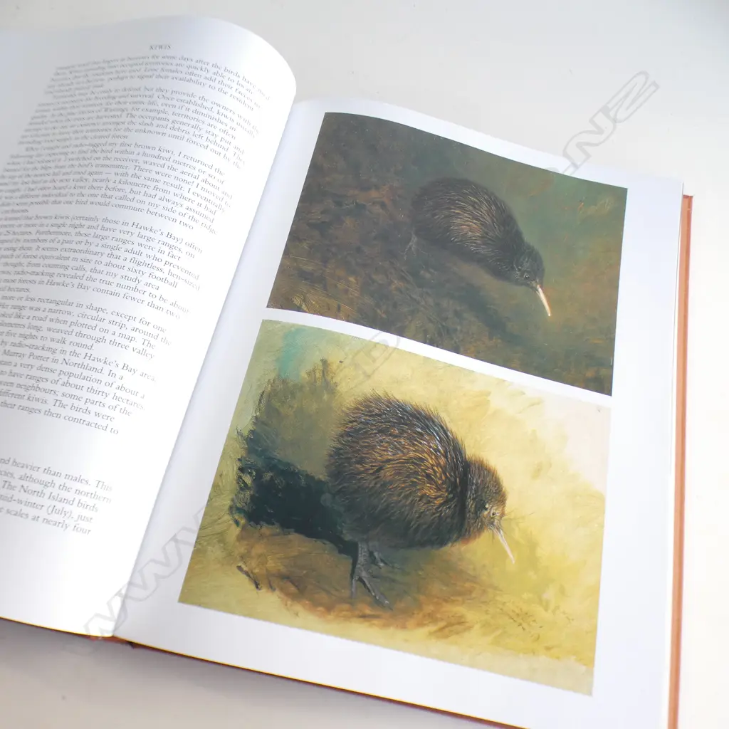 RAY HARRIS-CHING BOOK, 'KIWIS' 68/100 SIGNED & CASED Image 1++