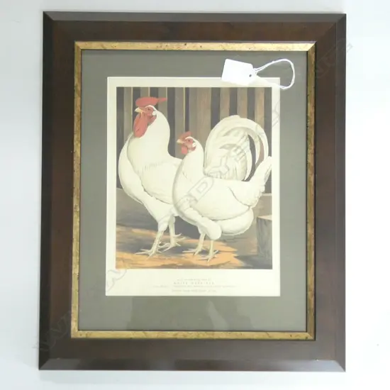 ANTIQUE OF CHICKENS FRAMED