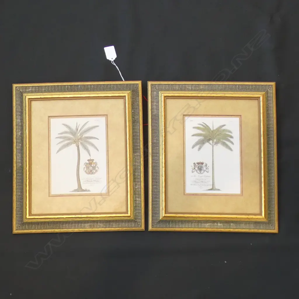 PR GILT FRAMED VINTAGE PALM PRINTS 130 X 180MM Image 1++