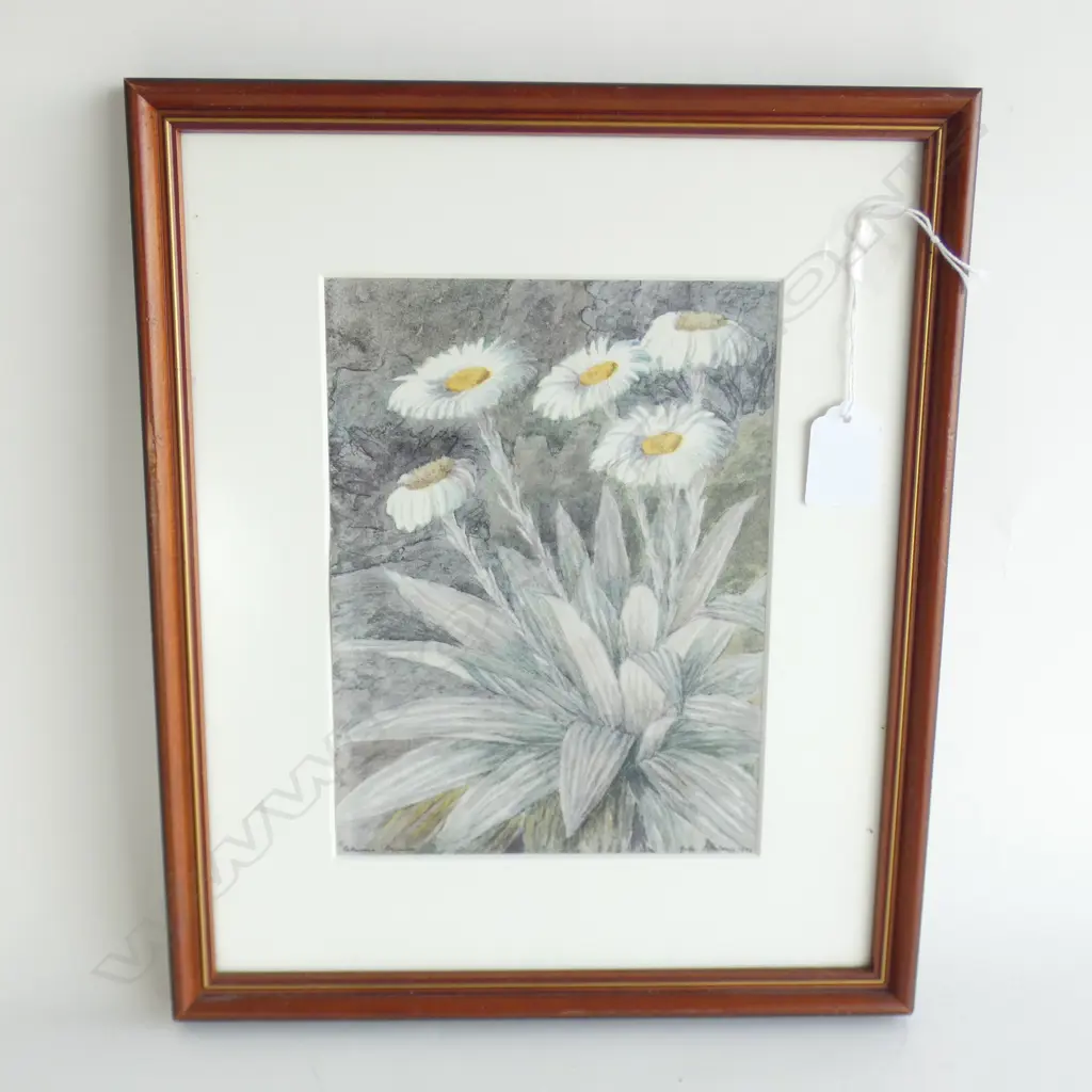 JOHN L MOORE – PRINT – MOUNTAIN DAISY  Image 1++