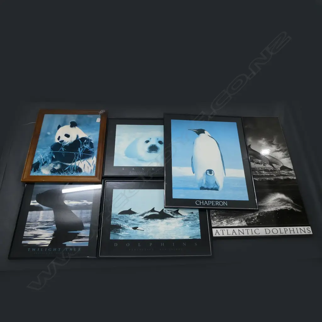 6 ASST ANIMAL PRINTS DOLPHINS ETC ONE GLASS A/F H 880 MM Image 1++