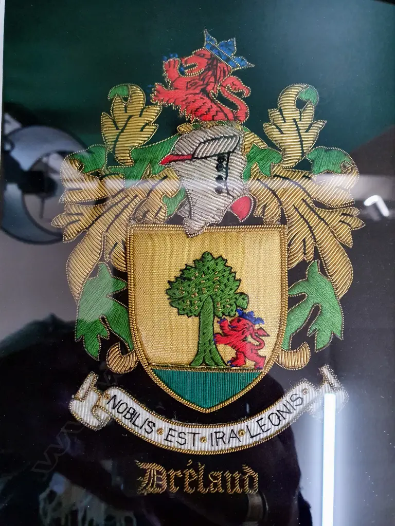 IRISH CREST METAL THREAD EMBROIDERY, FRAMED 180x130mm Image 1++