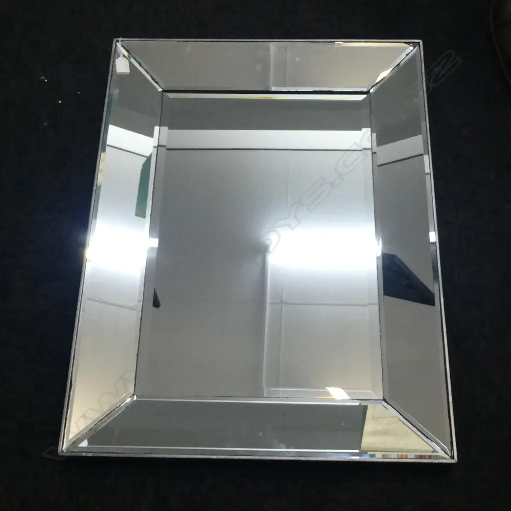 CONTEMPORARY BEVELLED MIRROR 610x820mm Image 1++