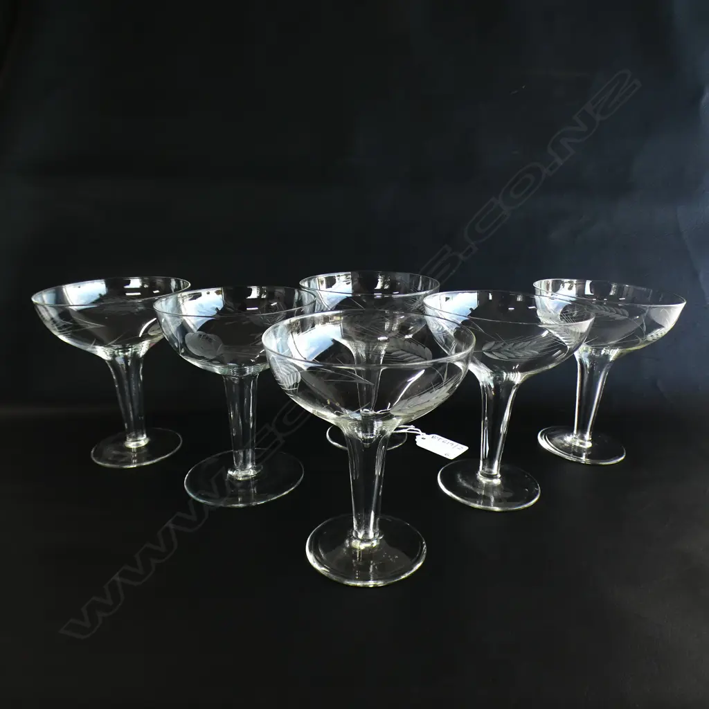 6 ETCHED HOLLOW STEM CHAMPAGNE GLASSES Image 1++