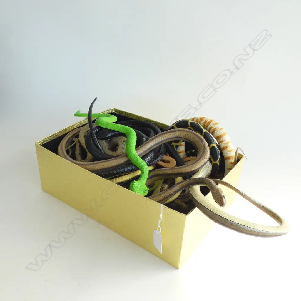 BOX SOFT PLASTIC SNAKES Image 1++